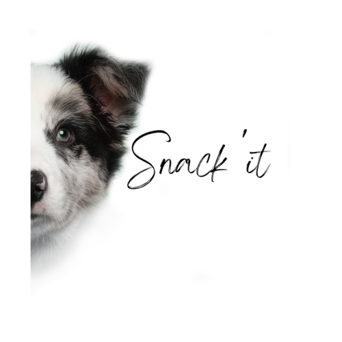 Snack'it 